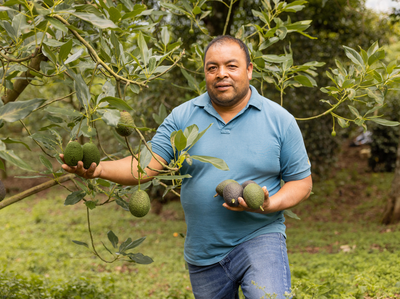 AGRICULTURA